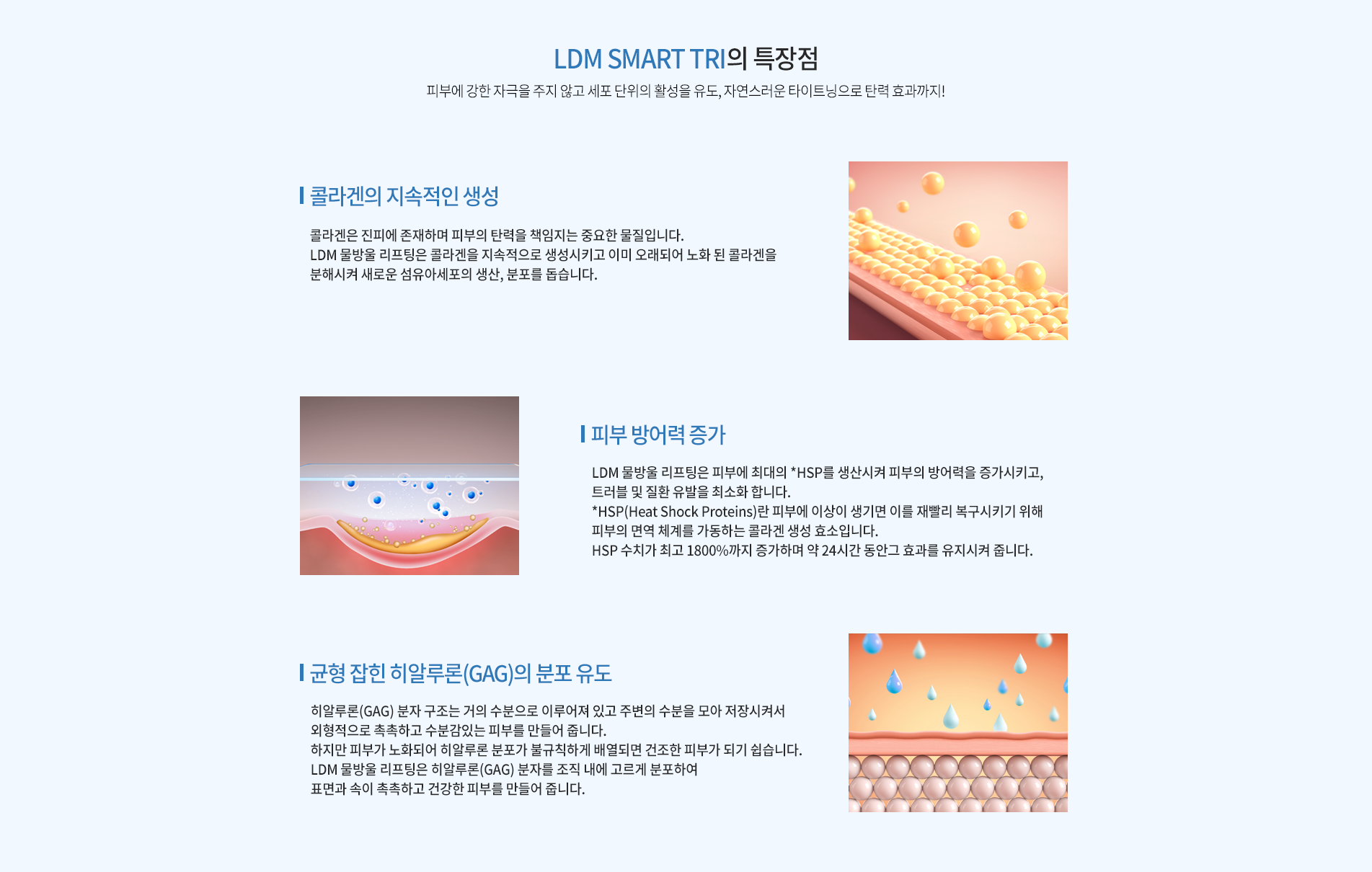 ldm 03